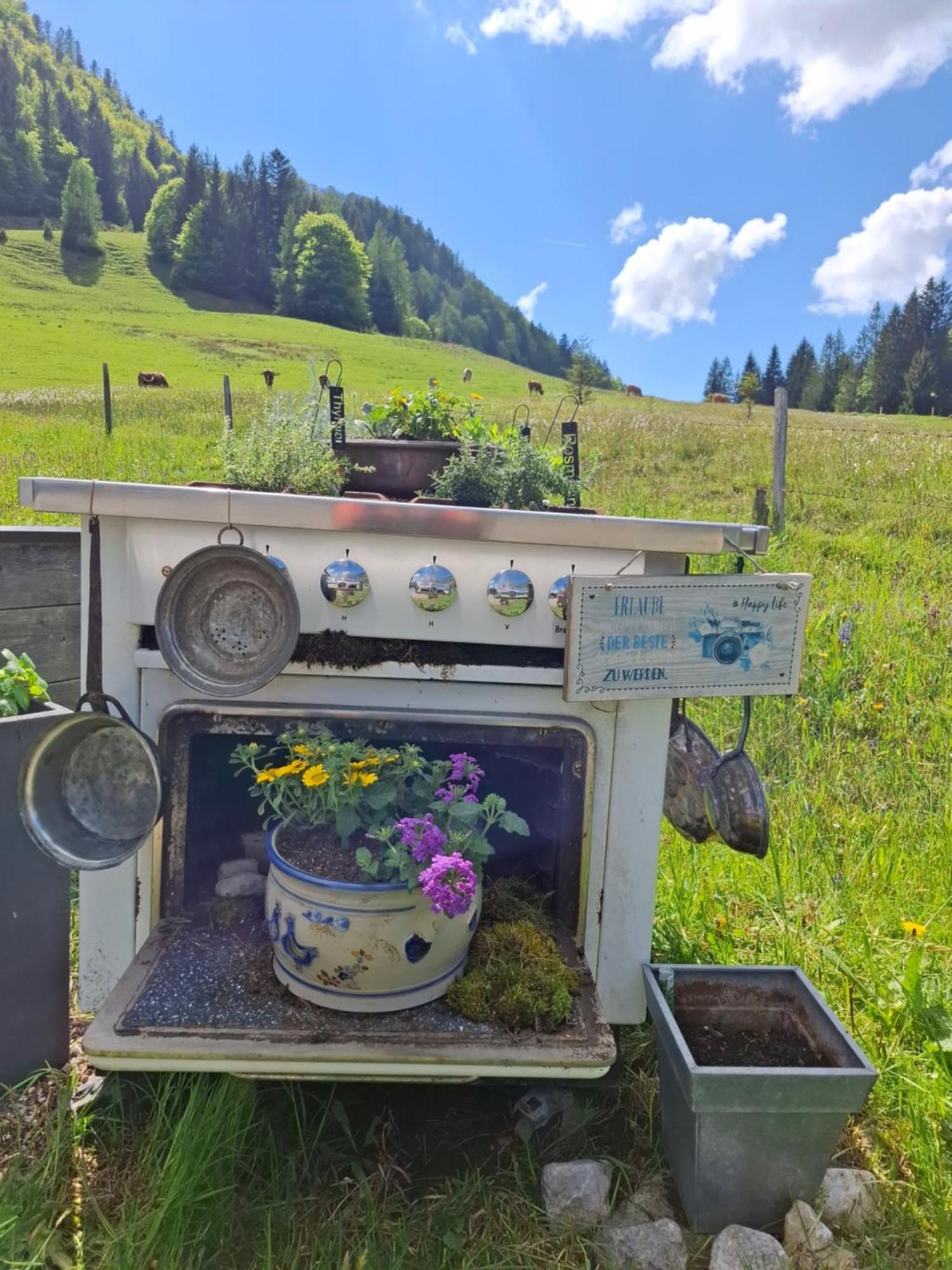 Ammergauer Vier Jahreszeiten Bad Kohlgrub Kültér fotó
